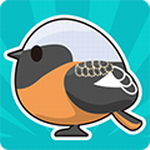 小鸟观察2安卓下载