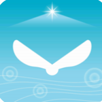 风的悄悄话2023下载安装