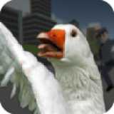 鹅市狂暴安卓最新下载安装