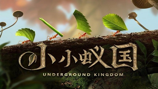 小小蚁国国际服版app最新版