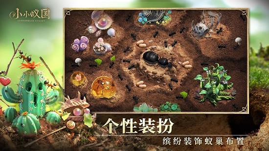 小小蚁国国际服版app最新版