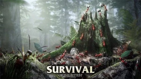 蚂蚁军团为了虫群安卓最新下载