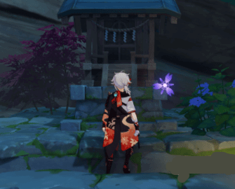 原神八酝岛神龛位置在哪 原神八酝岛神龛位置图文攻略