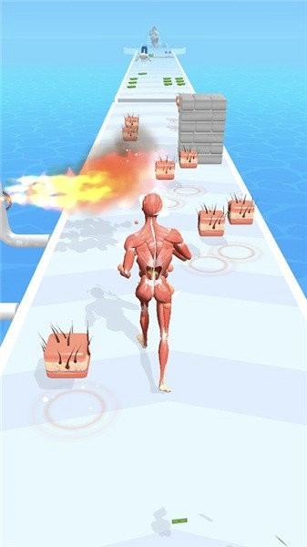 世界造物主2023安卓版