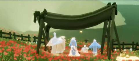 光遇郁金香斗篷怎么获得 光遇郁金香斗篷兑换图2023