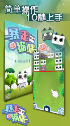 暴走猫咪安卓版app下载