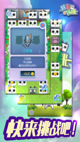 暴走猫咪安卓版app下载