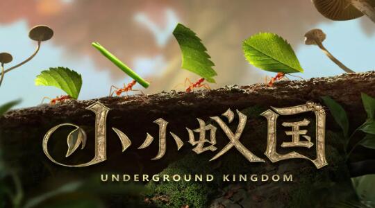 小小蚁国最强阵容推荐