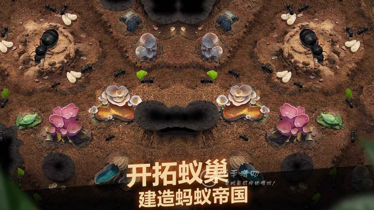 小小蚁国礼包码最新大全