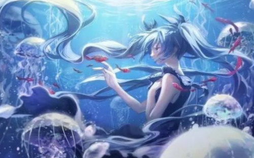 Voiux图库app下载