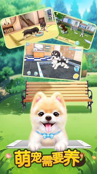 萌宠需要养游戏(暂未上线)最新安卓2023下载