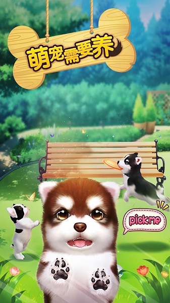 萌宠需要养游戏(暂未上线)最新安卓2023下载