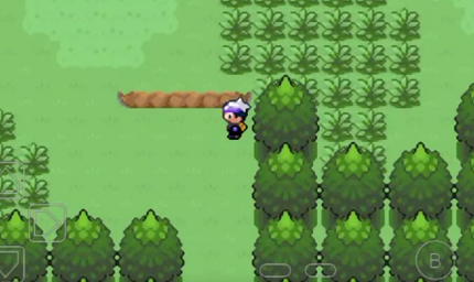 口袋妖怪漆黑的魅影攻略 口袋妖怪一周目通关技巧分享