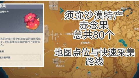 原神赤念果全80个采集路线位置图文攻略