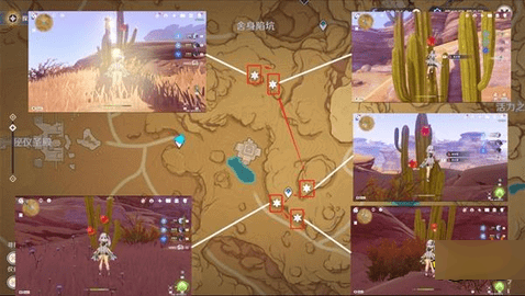 原神赤念果全80个采集路线位置图文攻略