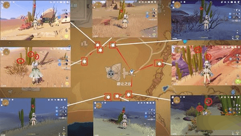 原神赤念果全80个采集路线位置图文攻略