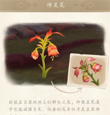 原神悼灵花多久刷新一次 悼灵花刷新时间介绍