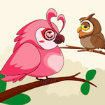 小鸟种类拼图2023安卓下载