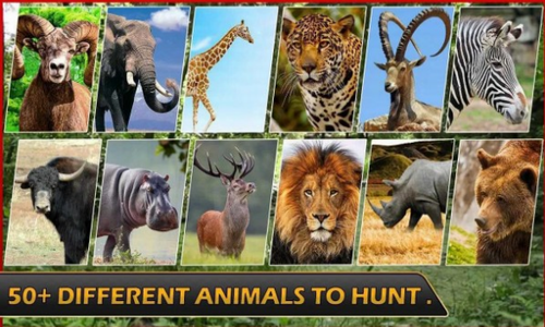 野生猎人冒险app安卓版