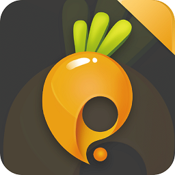 萝卜玩app官方版安卓版app