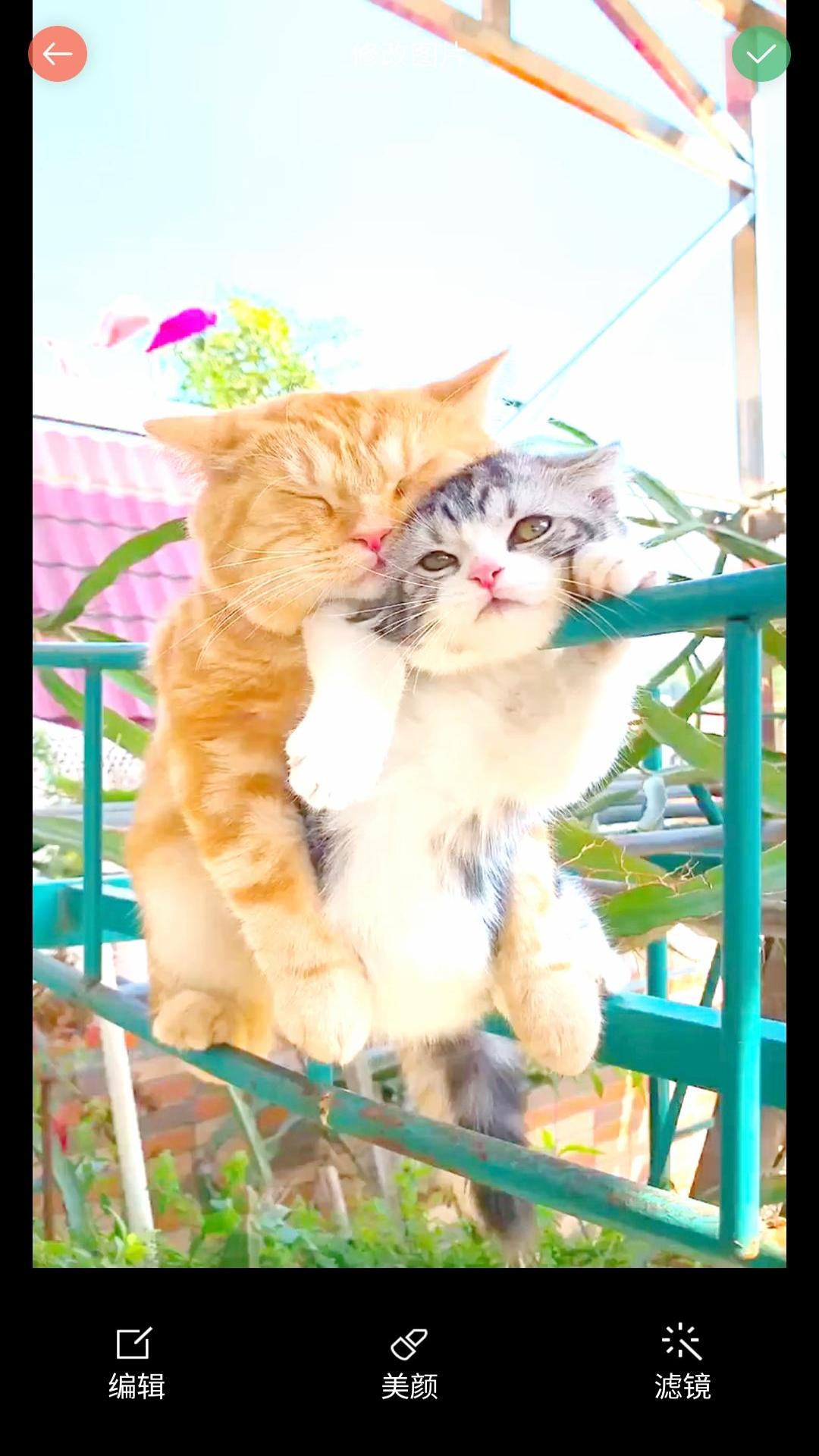 安果美颜相机2023版最新下载