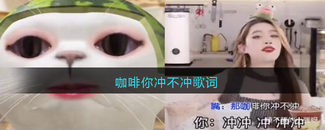 咖啡你冲不冲歌词