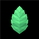 薄盒数字藏品安卓2023最新版