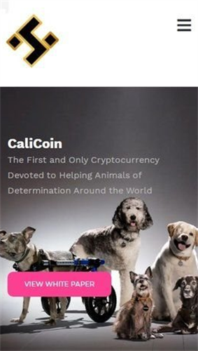 HWT挖矿2023最新版最新版2023安卓版