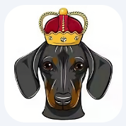 狗王币dogeking交易所2023最新下载