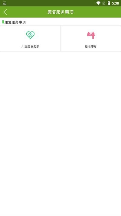 电子残疾人证app下载