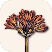 6栋301房ios下载免费版