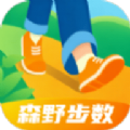森野步数2023版安卓版