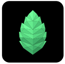 薄盒数字藏品官网版app下载中文版