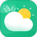 平安天气预报今天下载2023版本