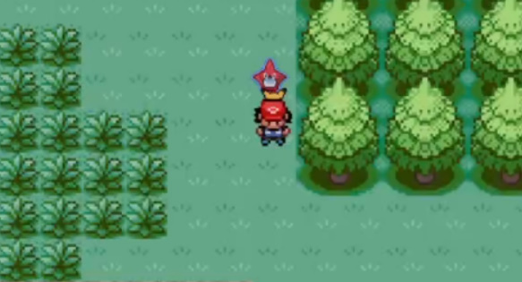 口袋妖怪燃之智自行车在哪