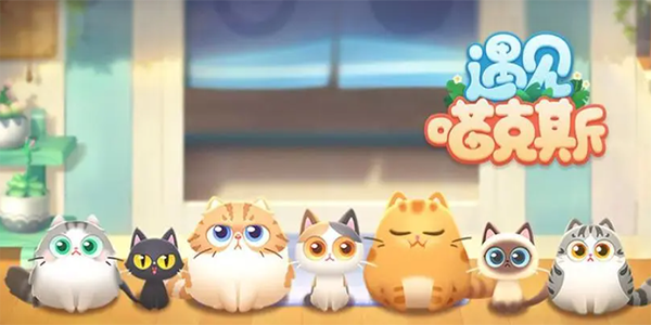 遇见喵克斯兑换码入口