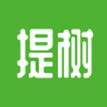 提树画画2023版