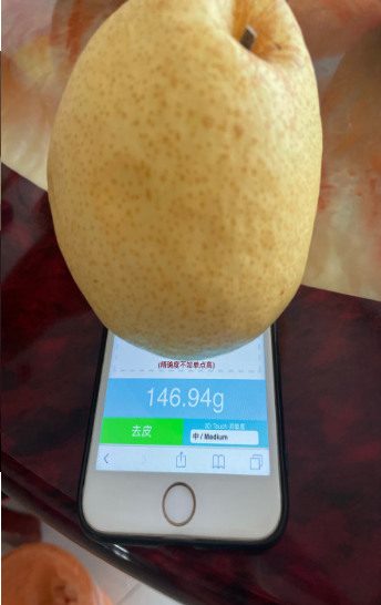 苹果手机称重器软件下载