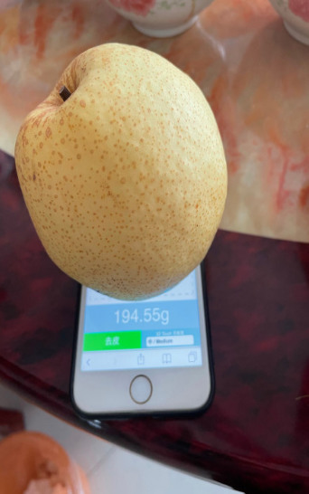 苹果手机称重器软件下载