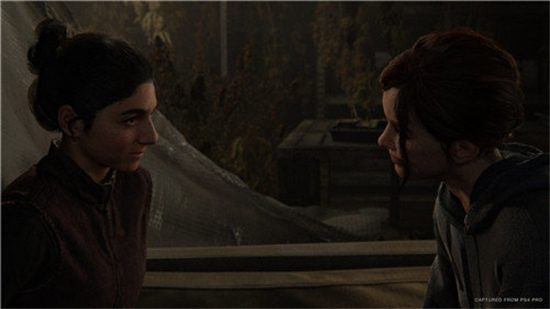 最后生还者第二部手游