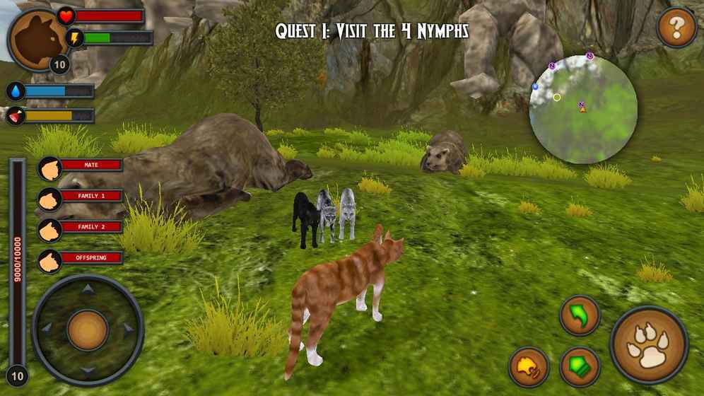 森林猫手机ios版