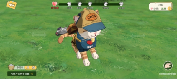 《小森生活》喵咪不吃饭解决方法_《小森生活》喵咪不吃饭怎么解决