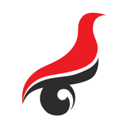 学信网app免费下载安卓最新版