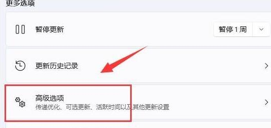 Windows11专业版最新版本