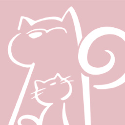 阿宝说app2023安卓版