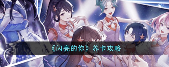 《闪亮的你》怎么养卡_《闪亮的你》养卡攻略