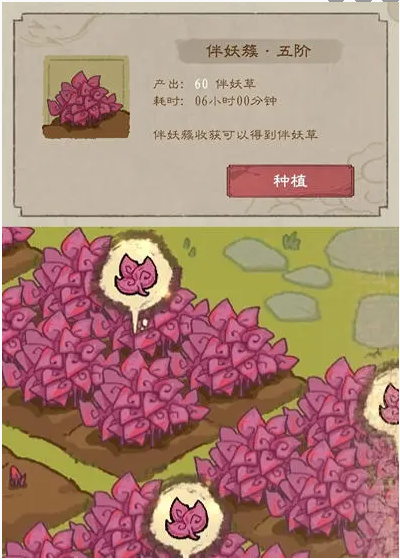 《九重试炼》伴妖草如何获取_方法攻略