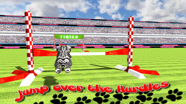 猫咪运动会安卓2023最新版