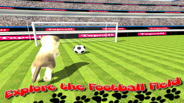 猫咪运动会安卓2023最新版