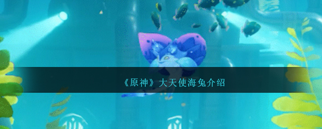 《原神》大天使海兔怎么样_《原神》大天使海兔攻略